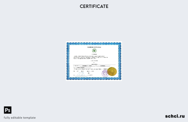 цифровая загрузка свидетельства о браке Коморских Островов в формате Word и PDF 